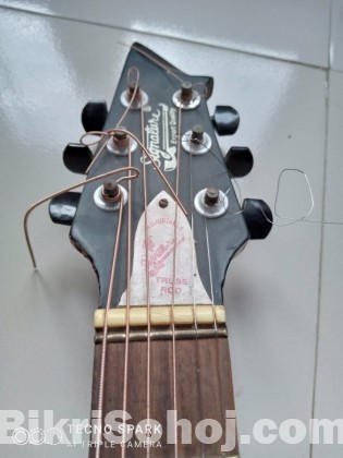 Signature Acoustic Guitar (Indian)